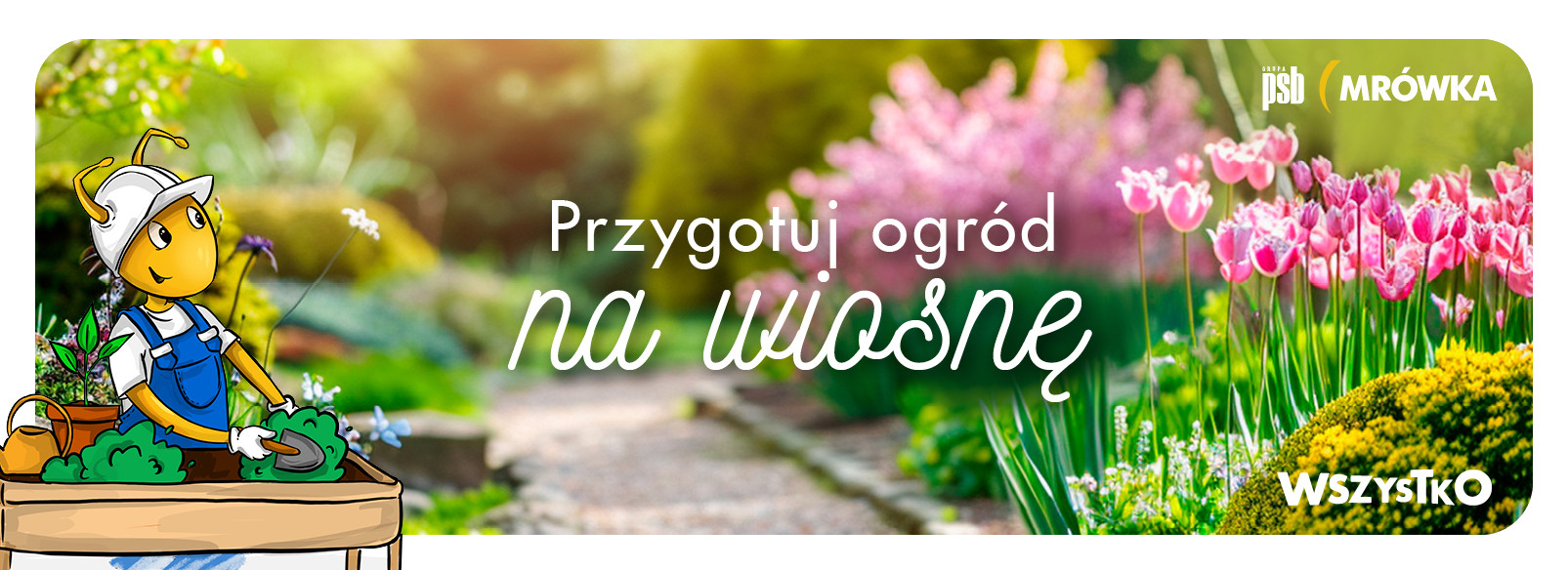 Grupa PSB mrowka PSB Mrówka Falenica