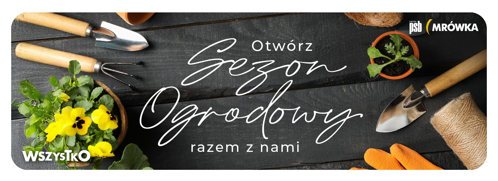 Grupa PSB mrowka PSB Mrówka Falenica