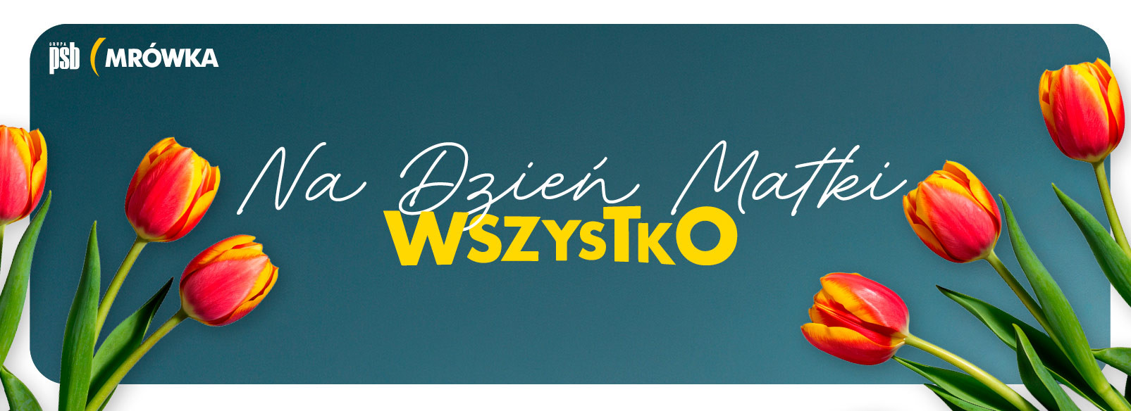 Grupa PSB mrowka PSB Mrówka Falenica